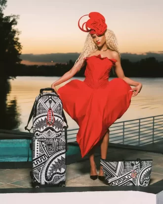 A.I. AFRICAN INTELLIGENCE THE SKYHAWK CARRY-ON LUGGAGE – SANDFLOWER COLLAB