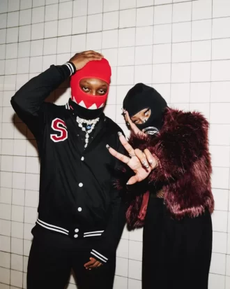 CHROME DOME SKI MASK CHROME DOME SKI MASK