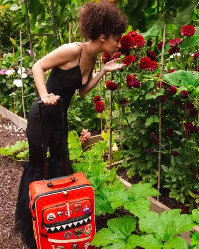 THE GLOBAL EXPEDITION JETSETTER CARRY-ON LUGGAGE THE GLOBAL EXPEDITION JETSETTER CARRY-ON LUGGAGE