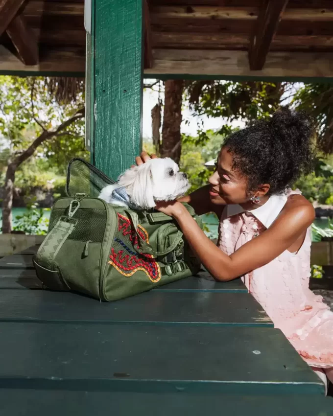 WON’T STOP TILL THE TOP PET CARRIER WON’T STOP TILL THE TOP PET CARRIER