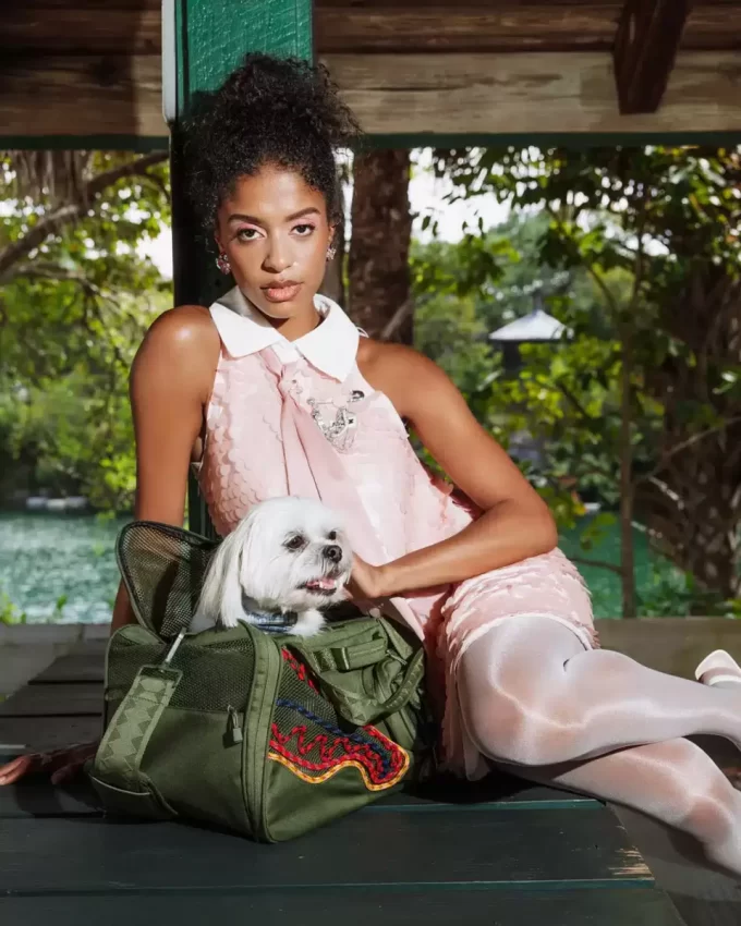 WON’T STOP TILL THE TOP PET CARRIER WON’T STOP TILL THE TOP PET CARRIER